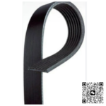 V-RIBBED BELT